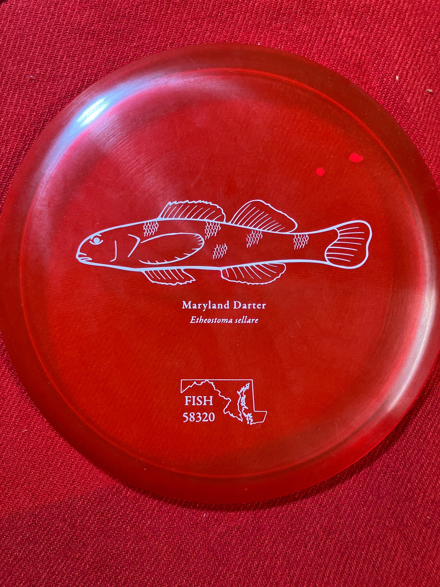 Fish 2023 Z Buzzz - Tour Fundraiser