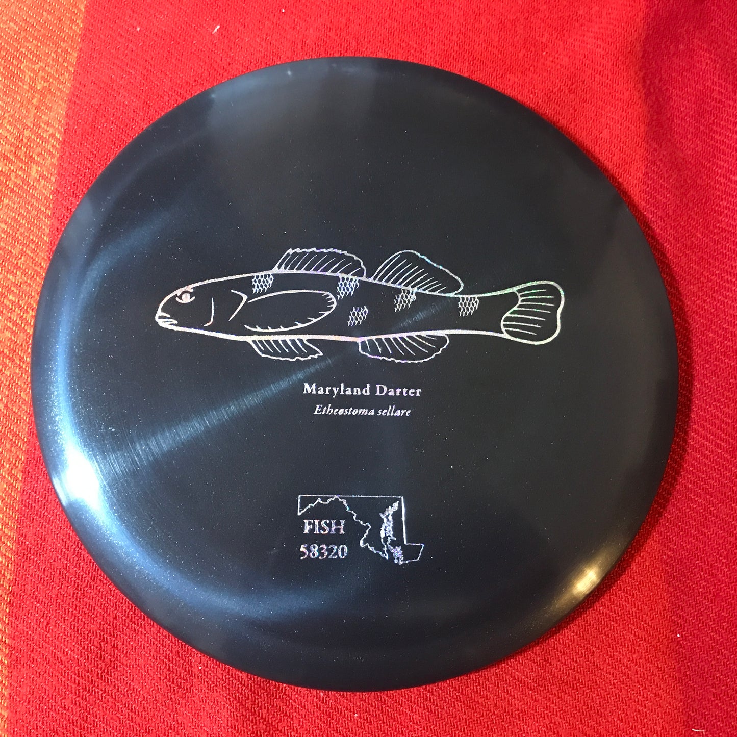 Fish 2023 ESP Buzzz - Black/Smoke - Tour Fundraiser