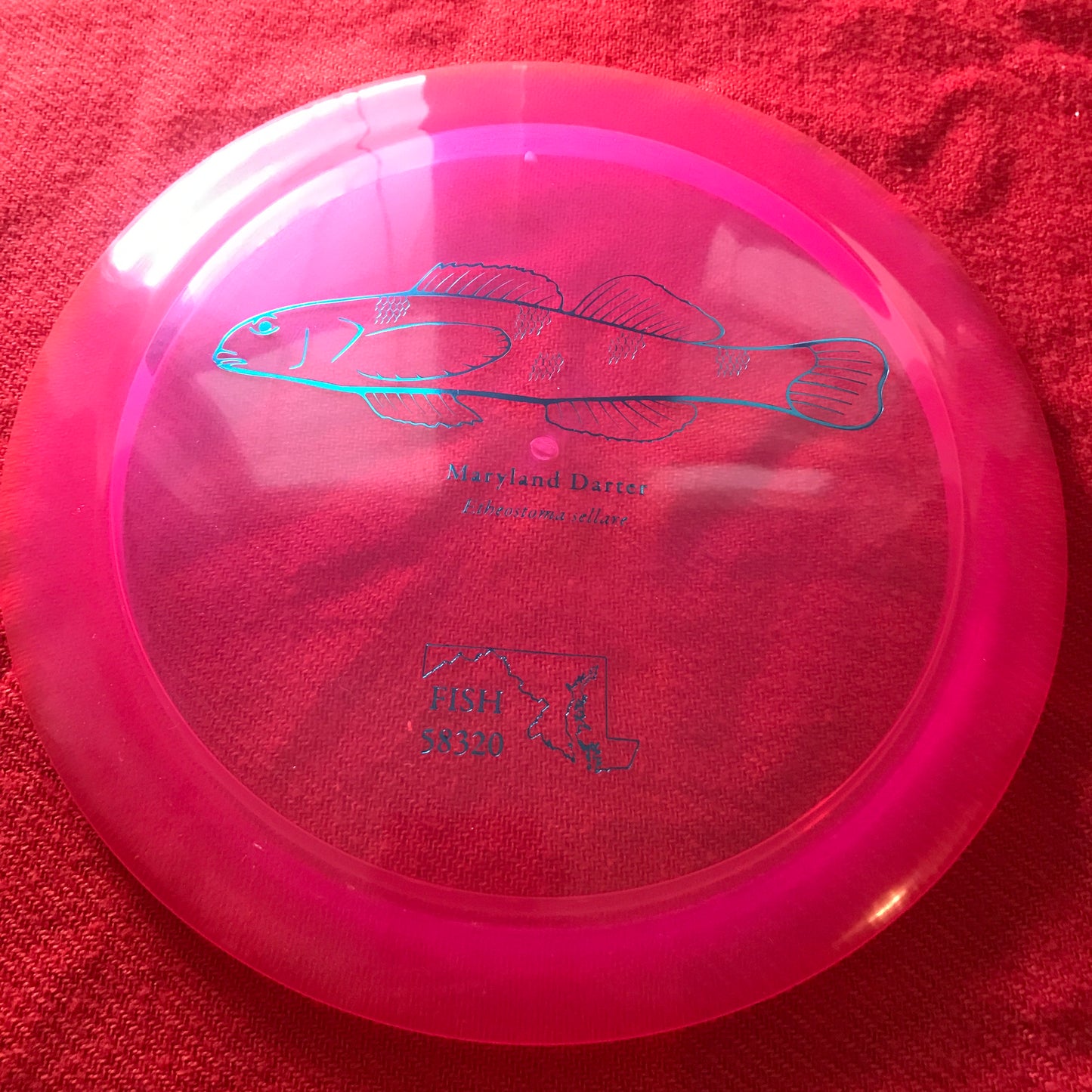 Fish 2023 Z Force - Tour Fundraiser