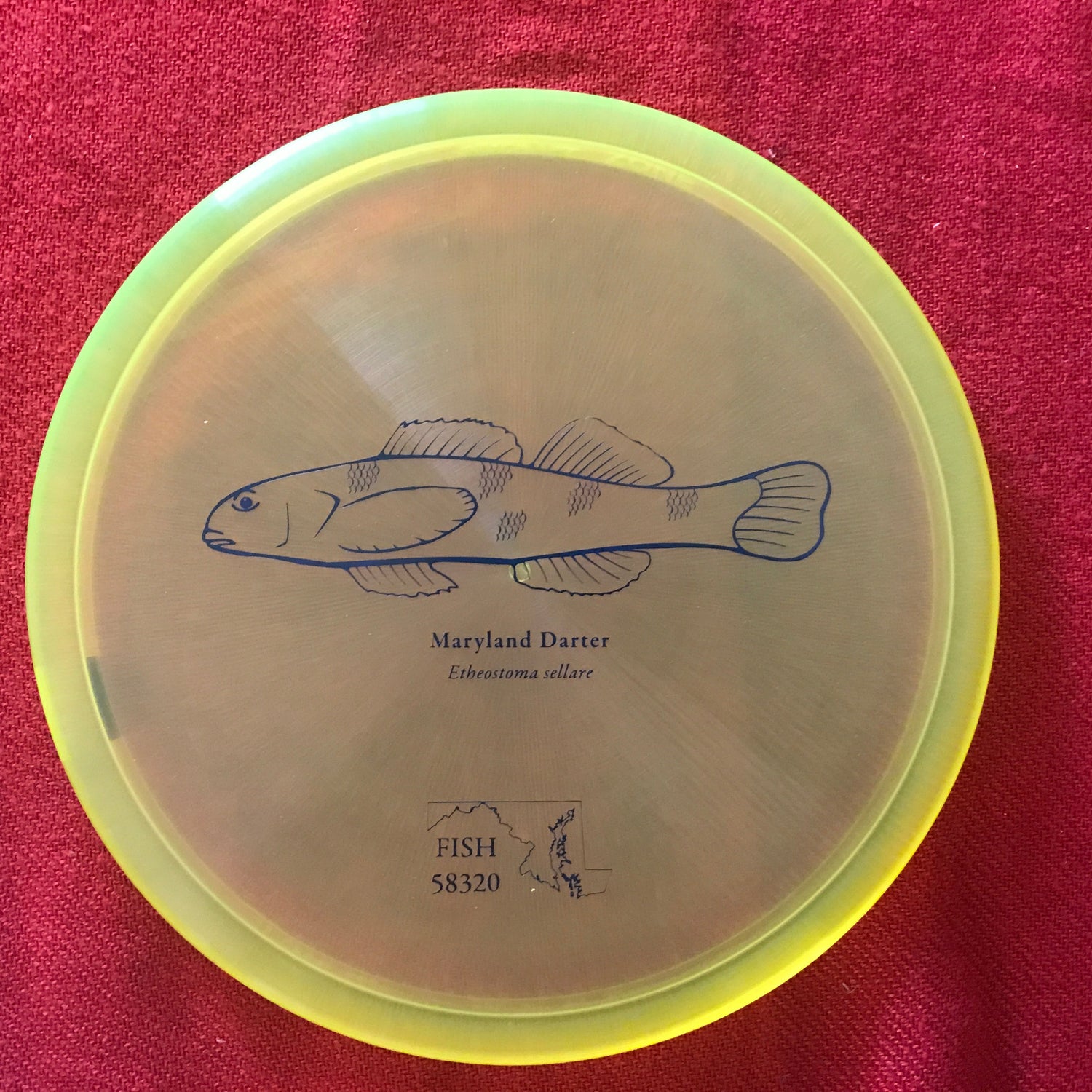 2023 Fish Discs