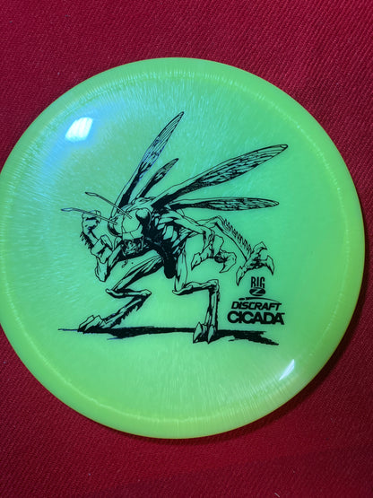 Big Z Cicada - Stock Run