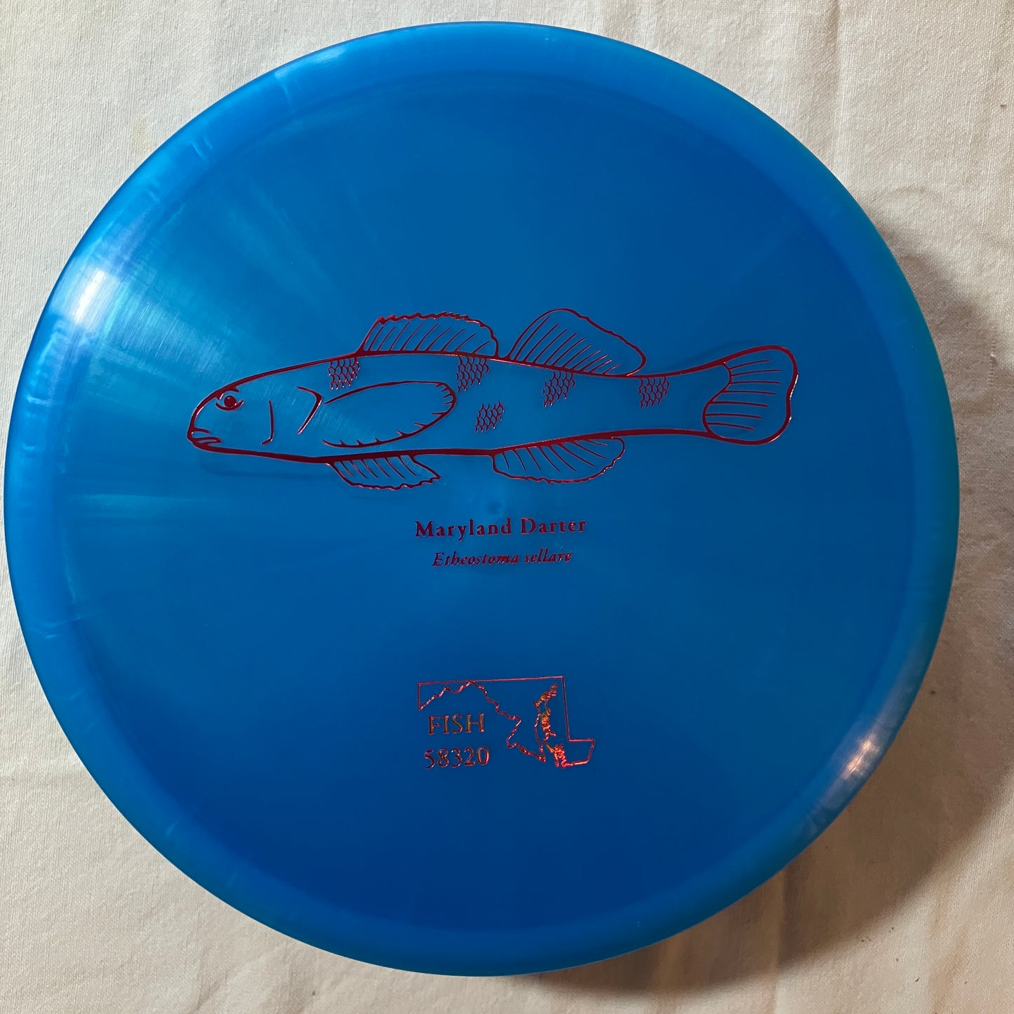 Fish 2023 Z Buzzz SS - Tour Fundraiser