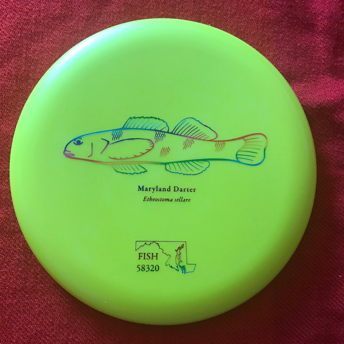 Fish 2023 Challenger - Tour Fundraiser