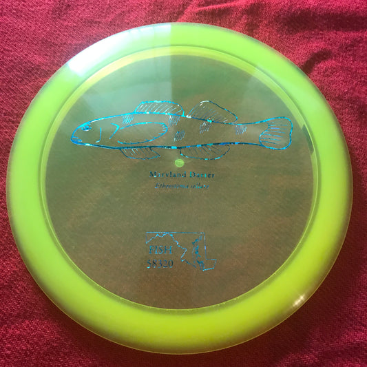 Fish 2023 Z Force - Tour Fundraiser